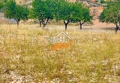 Sòl urbà en venda a Favanella ref.: TR287167 foto