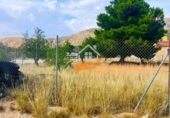 Finca rústica en venta en Abanilla ref: TR287166 foto