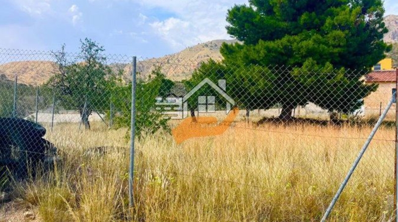 Murcia - Abanilla - 3600m2