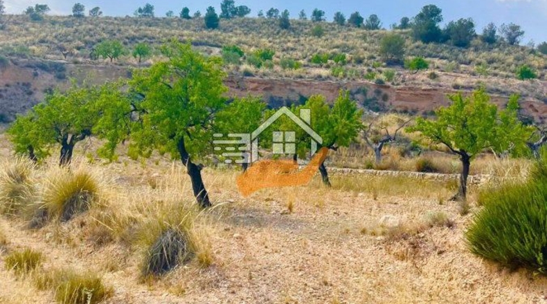 Murcia - Abanilla - 3600m2