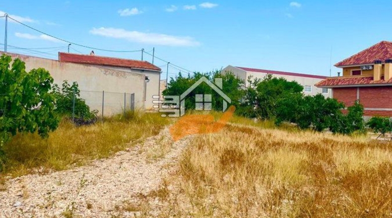 Murcia - Abanilla - 3600m2