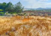 Finca rústica en venta en Abanilla ref: TR287166 foto