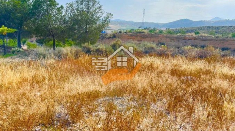 Murcia - Abanilla - 3600m2