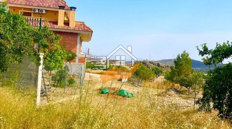 Murcia - Abanilla - 3600m2