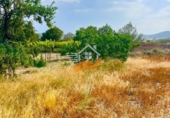 Finca rústica en venta en Abanilla ref: TR287166 foto