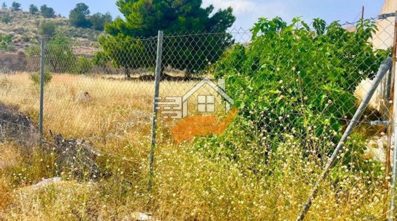 Murcia - Abanilla - 3600m2
