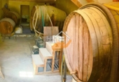 Finca rústica en venta en Abanilla ref: TR287166 foto