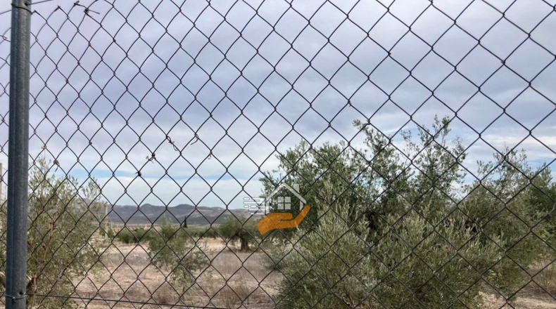 Almeria - Vélez-Blanco - 50000m2