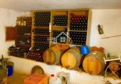 Finca rústica en venda a Vélez-Blanco ref.: TR307013 foto
