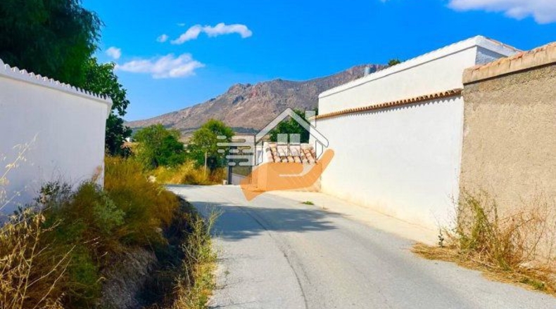 Almeria - Vélez-Blanco - 50000m2