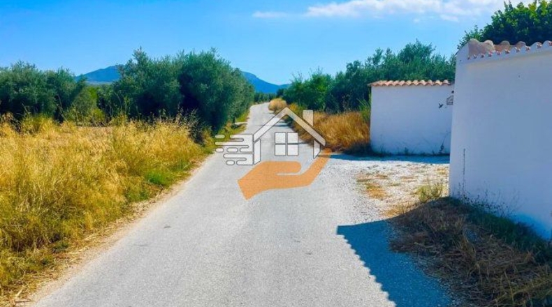 Almeria - Vélez-Blanco - 50000m2