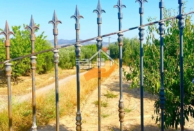 Foto 14