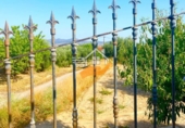 Xalet independent amb terreny en venda a Vélez-Blanco ref.: TR308184 foto