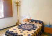 Semi-detached house with land for sale in Vélez-Rubio ref: TR308182 photo