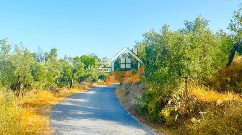 Almería - Vélez-Rubio - 13100m2
