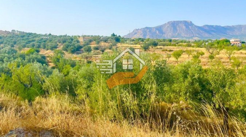 Almería - Vélez-Rubio - 13100m2