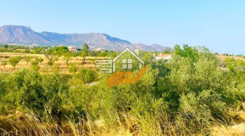 Almería - Vélez-Rubio - 13100m2