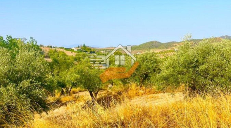 Almería - Vélez-Rubio - 13100m2
