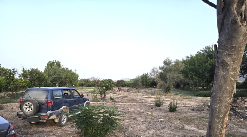 Murcia - Murcia - 4400m2