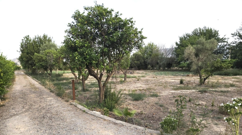 Murcia - Murcia - 4400m2