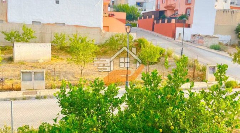 Almeria - Vélez-Rubio - 125m2