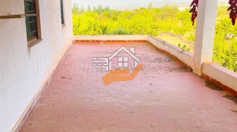 Almería - Велес-Рубио - 7000m2