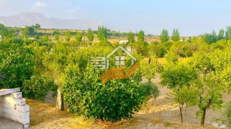Almería - Велес-Рубио - 7000m2