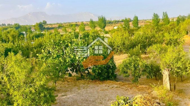 Almería - Велес-Рубио - 7000m2