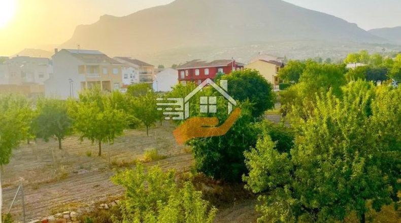Almería - Велес-Рубио - 7000m2