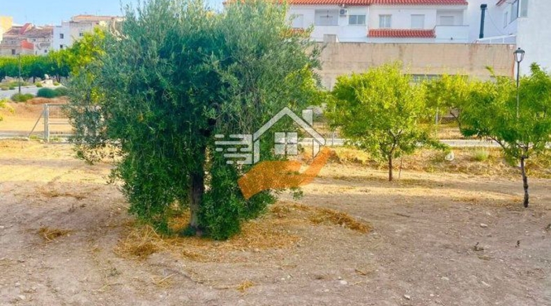 Almería - Велес-Рубио - 7000m2