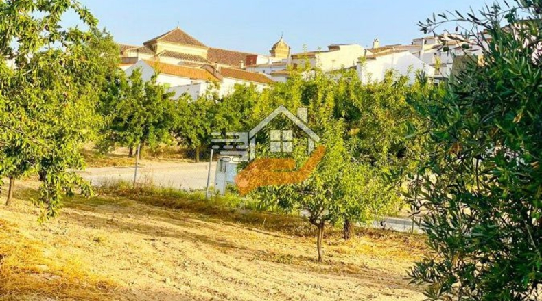Almería - Велес-Рубио - 7000m2