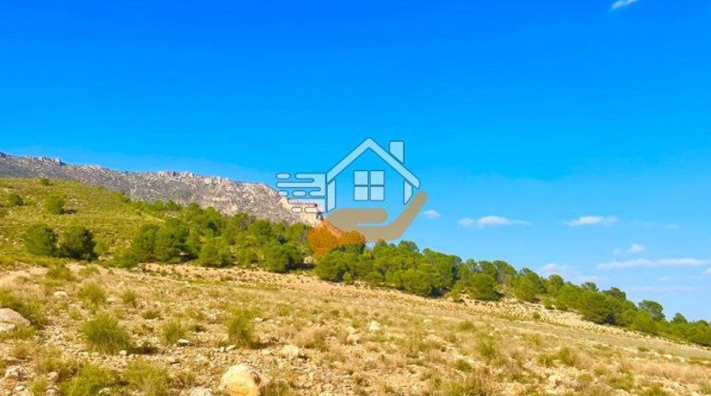 Almeria - Vélez-Blanco - 170218m2
