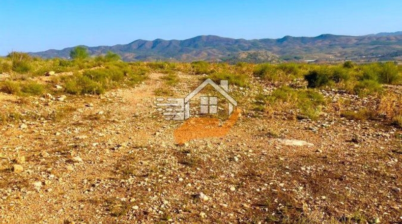 Almeria - Vélez-Blanco - 170218m2