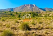 Terreny no urbanitzable en venda a Vélez-Blanco ref.: TR343699 foto
