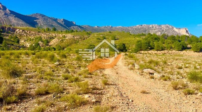 Almeria - Vélez-Blanco - 170218m2