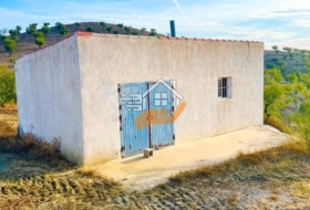 Foto 16