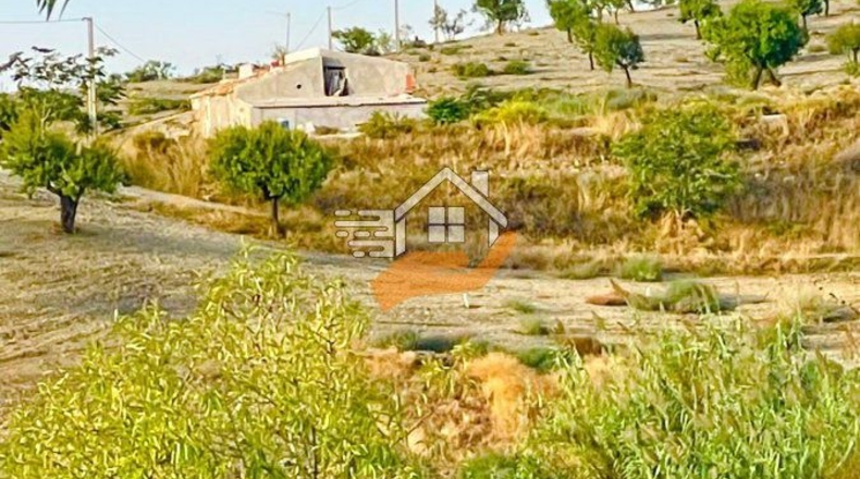 Almería - Vélez-Rubio - 60000m2
