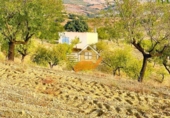 Terreno no urbanizable en venta en Vélez-Rubio ref: TR350513 foto