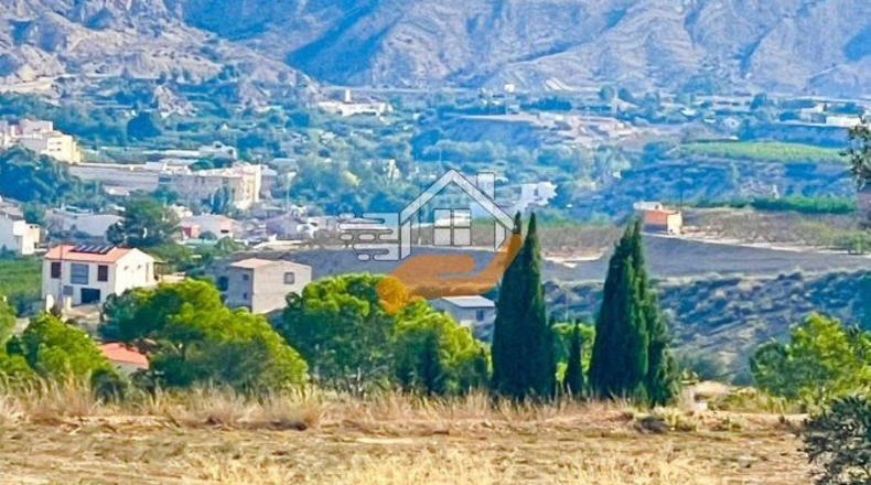Múrcia - Abarán - 60000m2