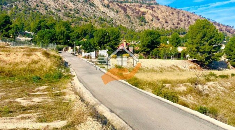 Múrcia - Abarán - 60000m2