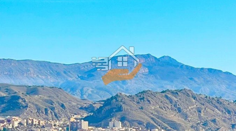 Múrcia - Abarán - 60000m2