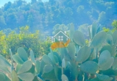 Terreno no urbanizable en venta en Abarán ref: TR353448 foto