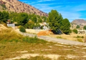 Terreno no urbanizable en venta en Abarán ref: TR353448 foto