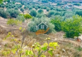 Finca rústica en venda a Vélez-Rubio ref.: TR357458 foto
