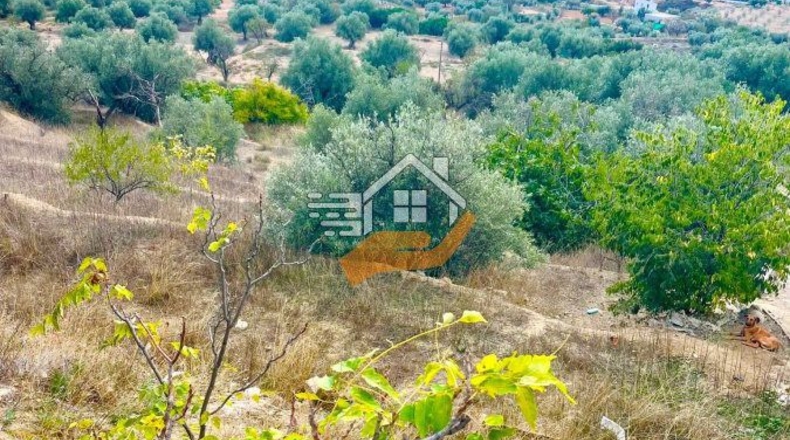 Almeria - Vélez-Rubio - 219m2