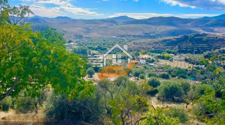 Almeria - Vélez-Rubio - 219m2