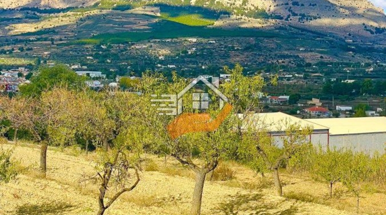 Almeria - Vélez-Rubio - 219m2