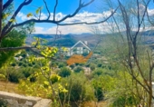 Finca rústica en venda a Vélez-Rubio ref.: TR357458 foto