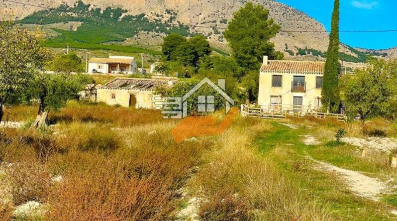 Almería - Vélez-Rubio - 6000m2