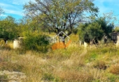 Non-developable land for sale in Vélez-Rubio ref: TR357190 photo
